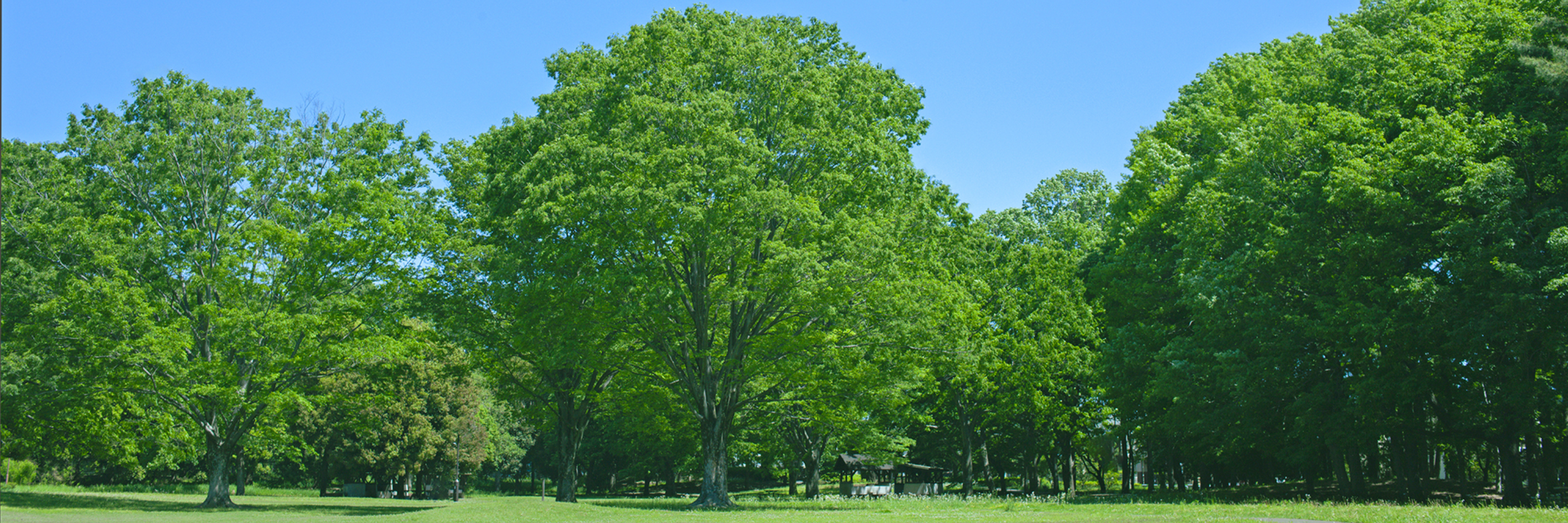 会社情報ヒーロー画像