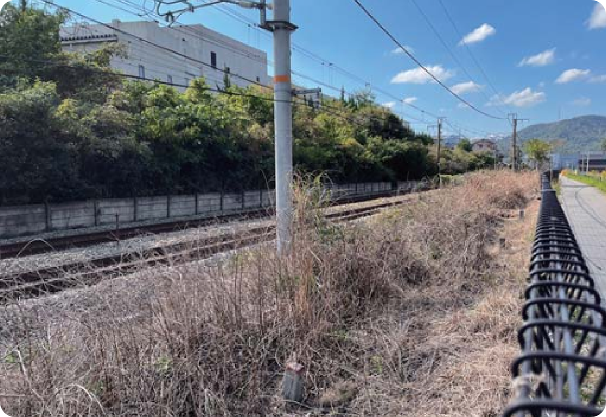 難防除雑草・雑灌木根絶