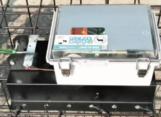 アニマルセンサー