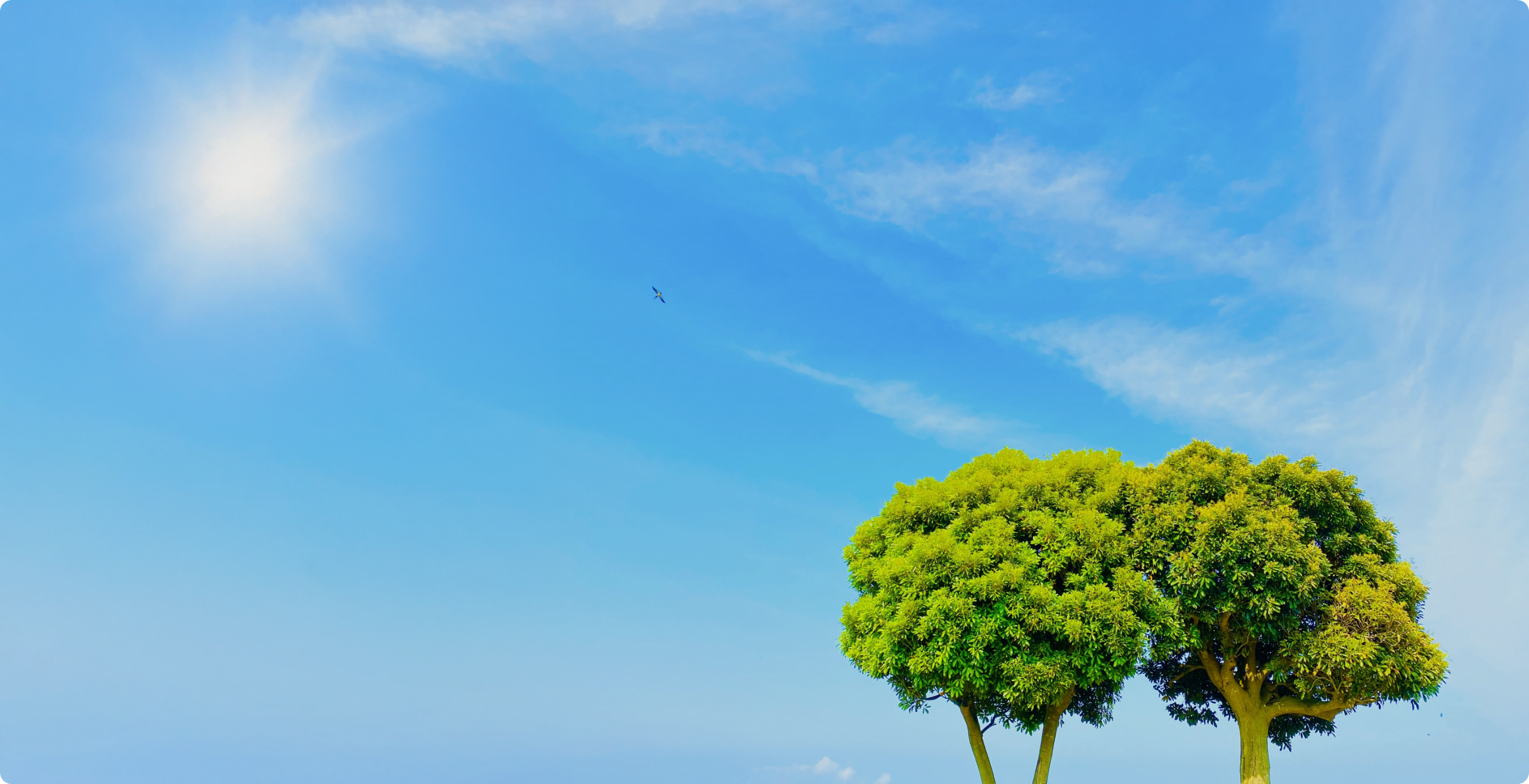 正和商事メインビジュアル