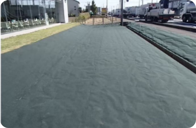 ハードランシート