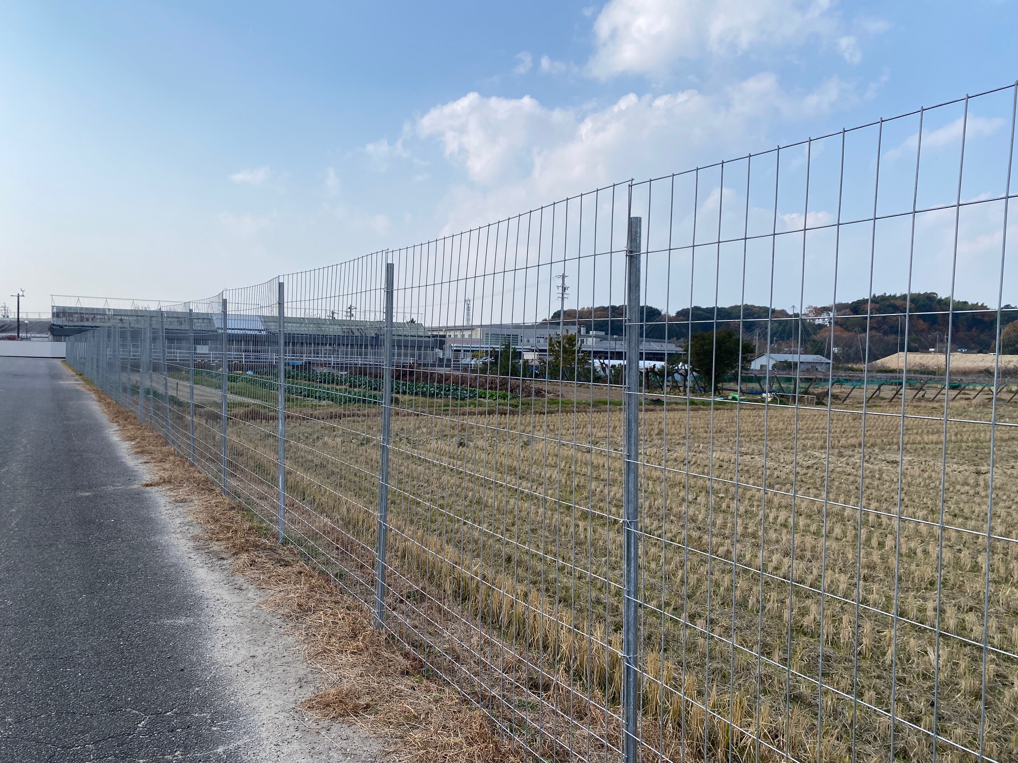 シカ向け　侵入をへ防ぐ高さでガード