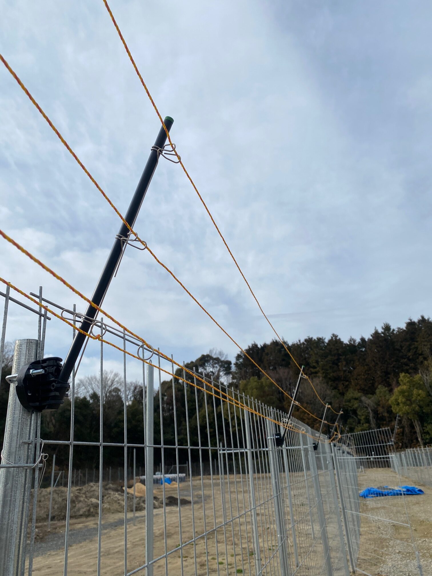複合柵　電気柵と併用しサルも撃退