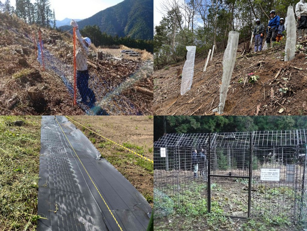 獣害対策の防除柵や単木資材・電気柵、大型捕獲檻の施工