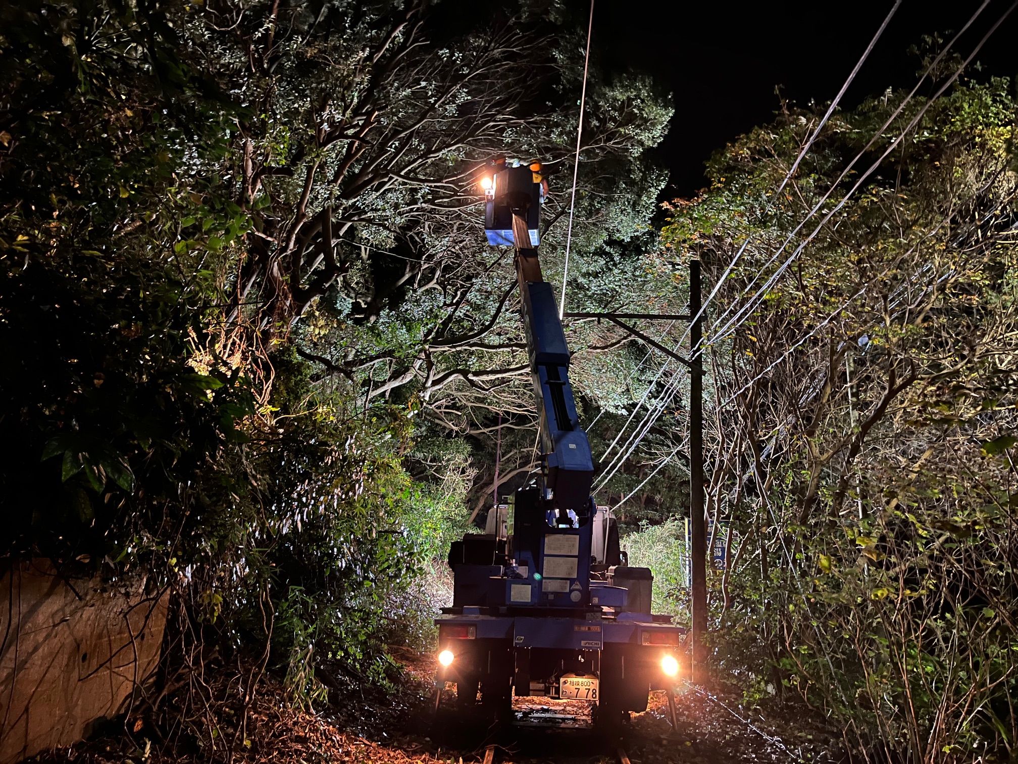 地域の安全を守る樹木伐採施工