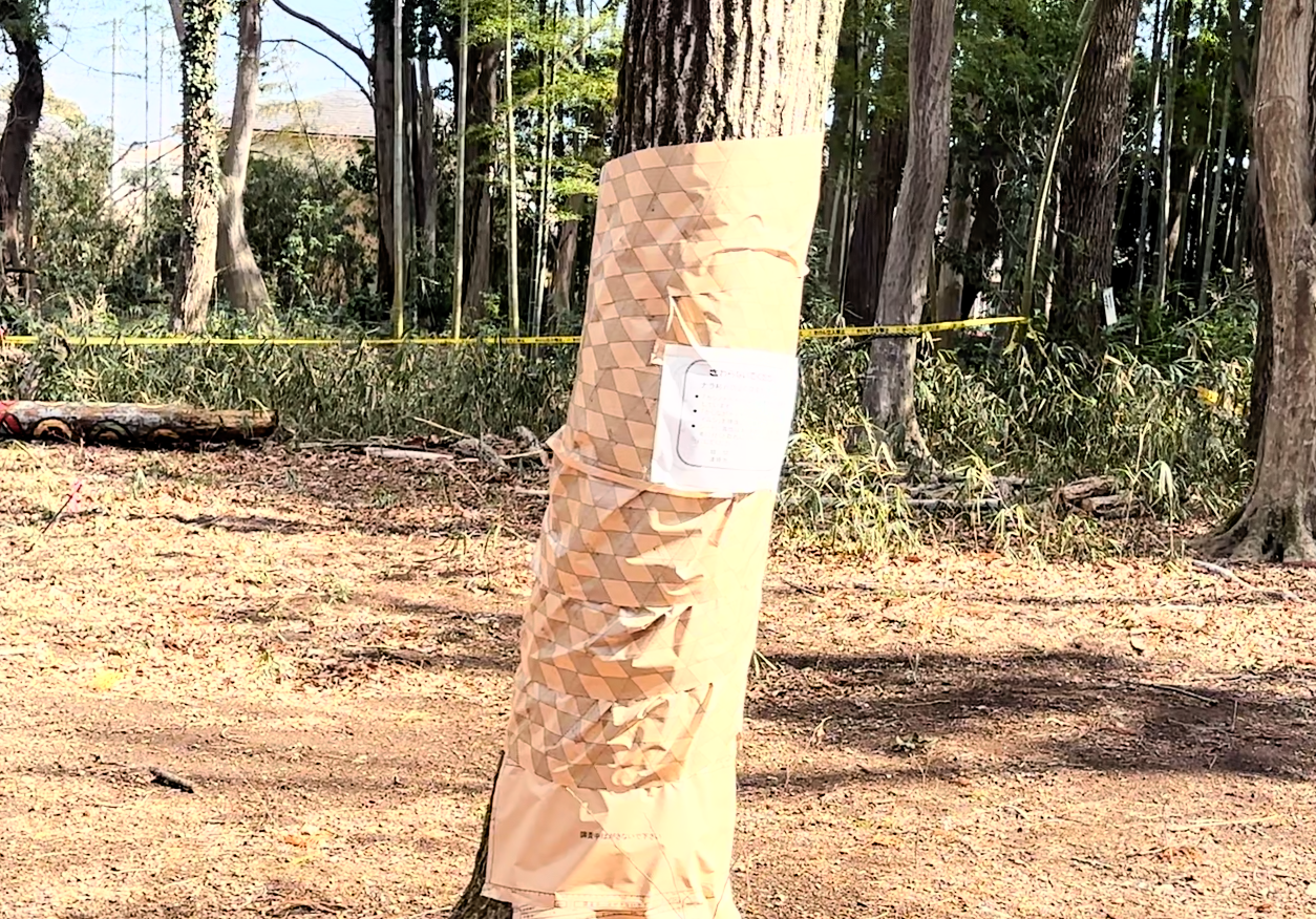 ナラ枯れ・クビアカ対策（物理的保護）