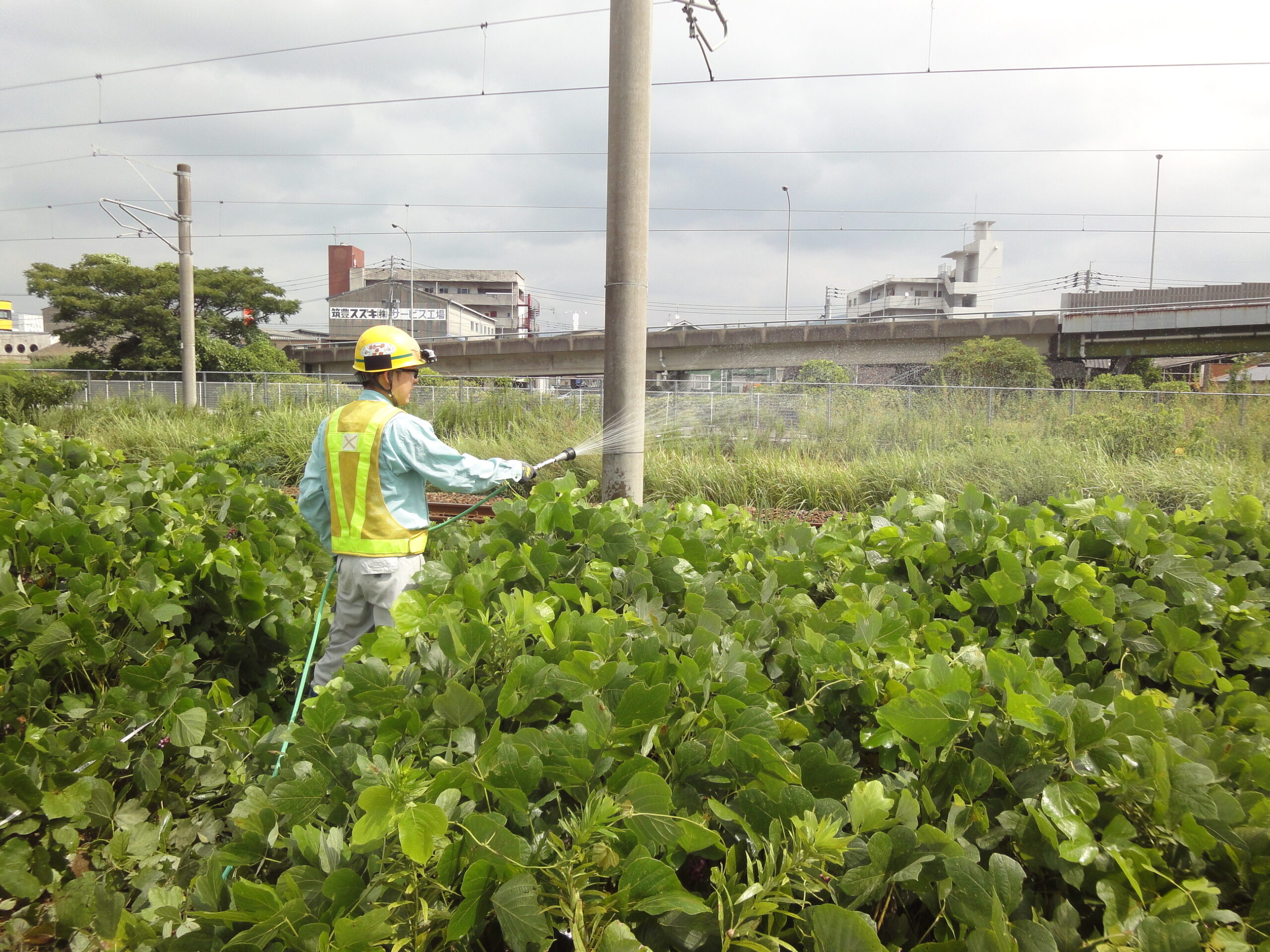 鉄道沿線の安全運行を守る除草剤散布