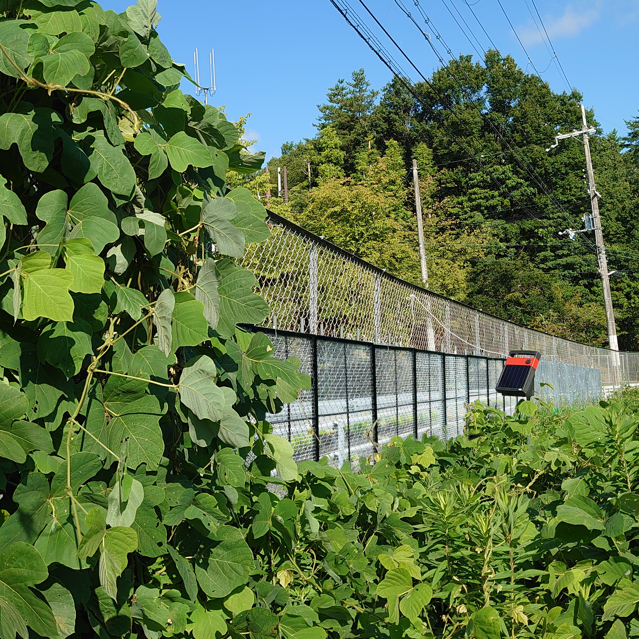つる草繁茂抑止パネル つるツッパネル